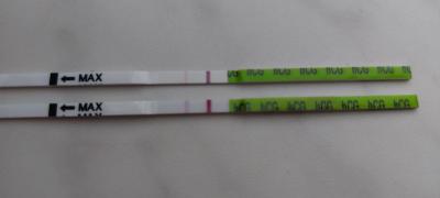 Testování a těhotenský test | Jedná se o prosperující těhotenství?