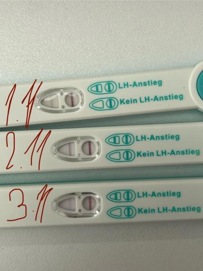 Testování a těhotenský test | Foto: Sílící ovulační test 2 dny před menstruací?