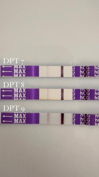 Centra asistované reprodukce | IVF/KET 2025