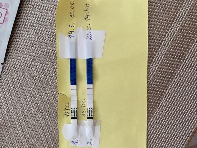 Testování a těhotenský test | Test ovulace