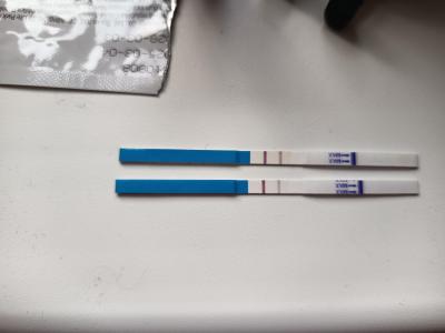 Testování a těhotenský test | Dr. Max test 22dpo