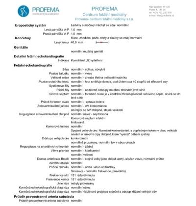 Těhotenství | 2.screening- morfolicky?