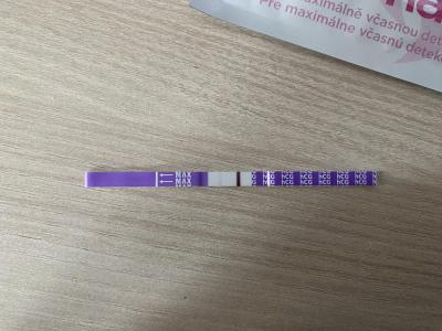 Testování a těhotenský test | Je možné těhoteství ?