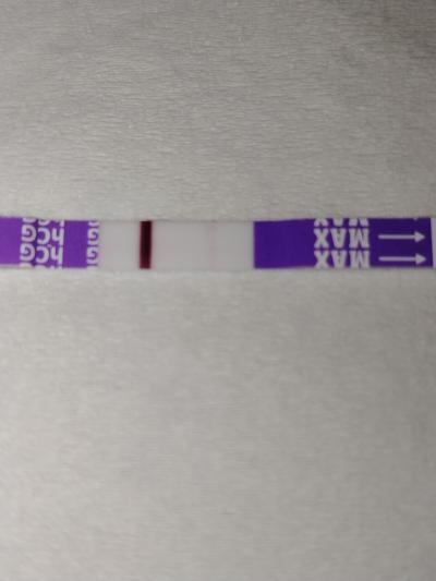 Testování a těhotenský test | Těhotenský test po vyjmuti teliska