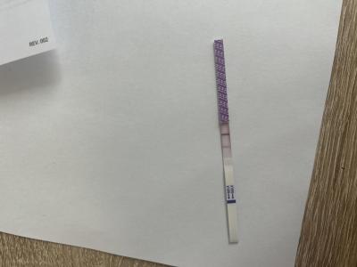 Testování a těhotenský test | Ovulační testy a možnost těhotenství