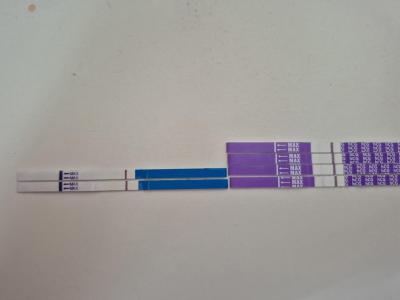 Testování a těhotenský test | Snažilky 2025