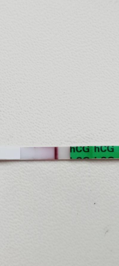 Testování a těhotenský test | Náznak ducha, ano či ne ?