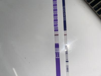 Testování a těhotenský test | 2 dny do ms test