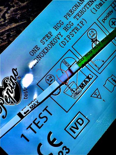 Testování a těhotenský test | Vidíte ducha nebo jsem jenom paranoidní?