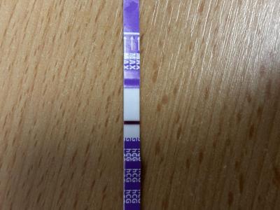 Testování a těhotenský test | Možné/nemožné těhotenství.
