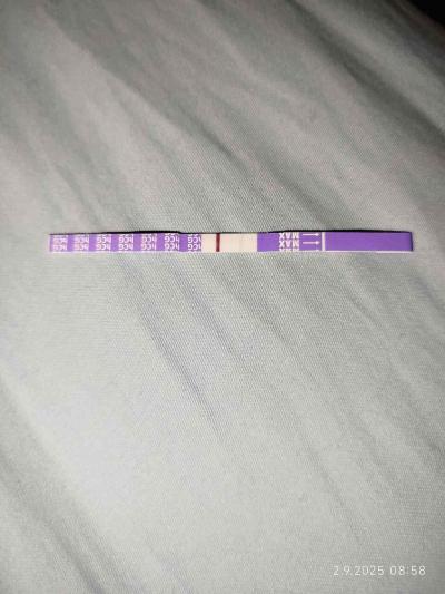 Testování a těhotenský test | Foto: Duch 13dpo? vidíte?