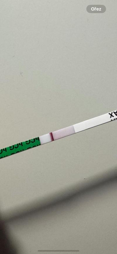 Těhotenství | Test ?? negativni, ze ano?
