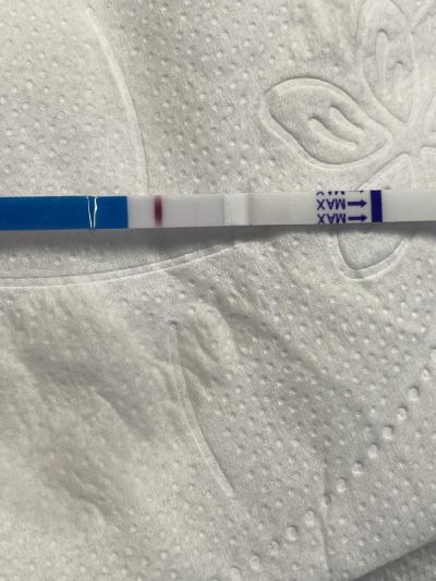 Snažení | Embryotransfer 4AA