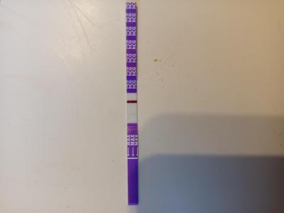 Testování a těhotenský test | Snažilky 2025