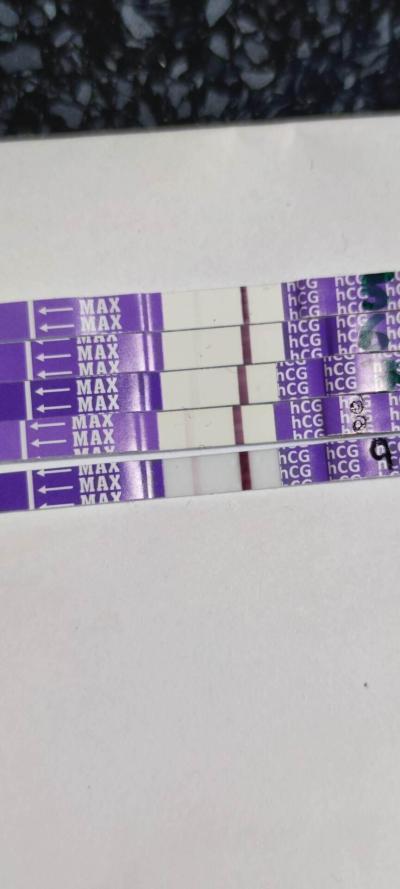 Testování a těhotenský test | Snažilky 2025