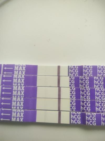 Testování a těhotenský test | KET DUBEN 2025