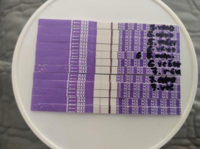 Testování a těhotenský test | KET DUBEN 2025
