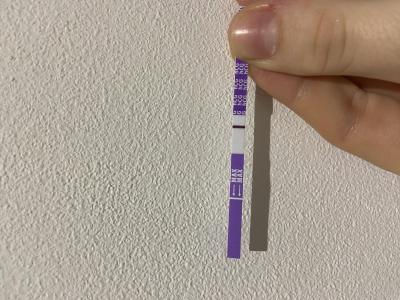 Testování a těhotenský test | Snažilky 2025