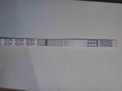 Testování a těhotenský test | 13 DPO - vidíte tam něco?