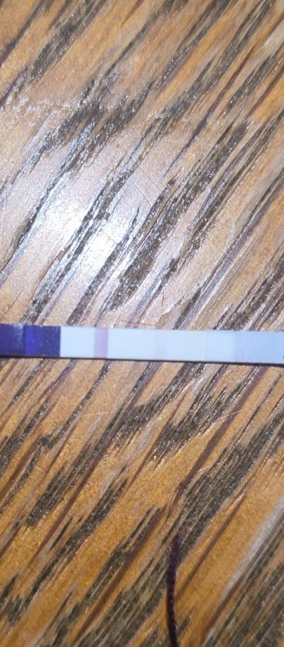 Testování a těhotenský test | Vyskytlo se to někomu ?