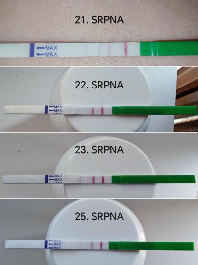Snažení | 49 DC, ovulační test