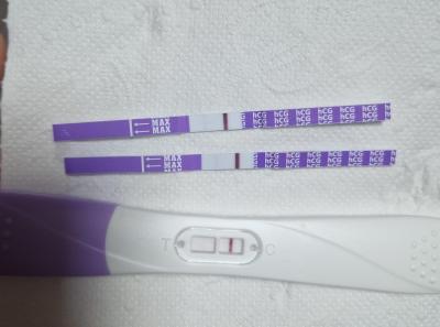 Testování a těhotenský test | Těhotenský test po 1.IUI