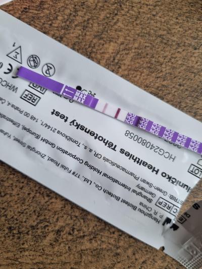 Testování a těhotenský test | Snažilky 2025