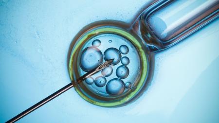 Americký pár adoptoval embryo z roku 1994. Po 31 letech u ledu se narodilo zdravé miminko