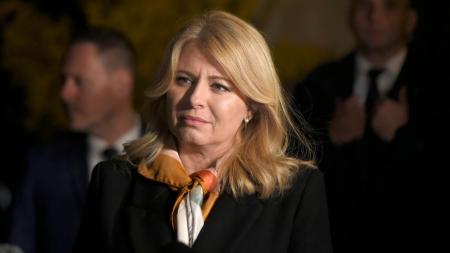 Prezidentka: (Ne)obyčejná žena, která dostala do rukou zemi v krizi