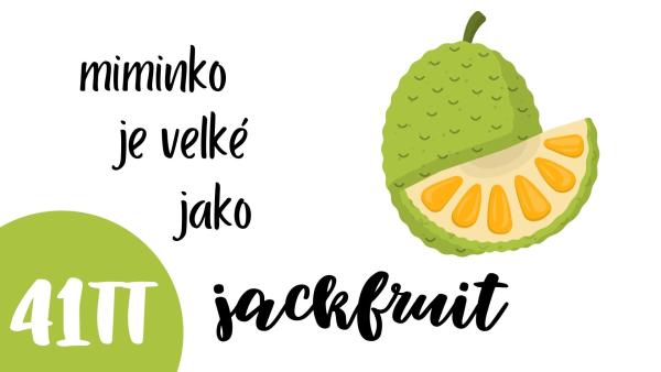 Jak vypadá miminko v 41. týdnu těhotenství? 