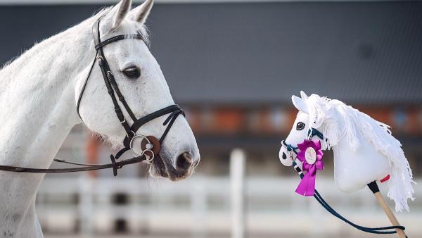 Zvíře a jeho hobby horse zmenšenina – dva světy, stejná láska ke koním.