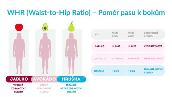 Kalkulačka WHR (Waist to Hip Ratio), Poměr pasu k bokům