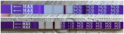 Centra asistované reprodukce | IVF - ET/KET 2026