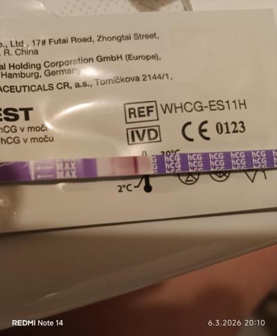 Testování a těhotenský test | Těhotná? Biochemické?