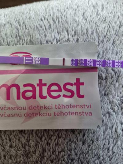 Testování a těhotenský test | Snažilky 2025