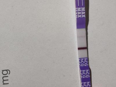 Centra asistované reprodukce | IVF - ET/KET 2026