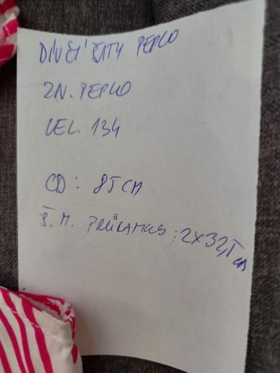 Dívčí šaty Pepco,vel.134