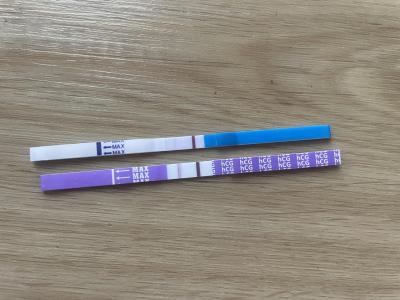 Centra asistované reprodukce | IVF - ET/KET 2026
