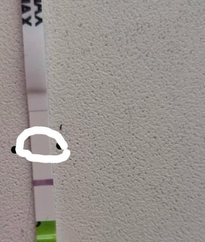 Testování a těhotenský test | Test prosím ????