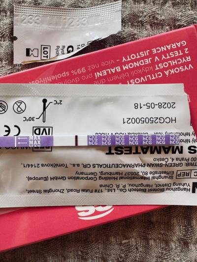 Testování a těhotenský test | Duch nebo ryska na mamatestu?