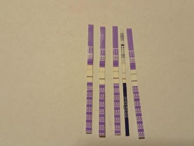 Testování a těhotenský test | Biochemické nebo slibné?