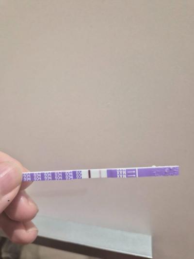 Centra asistované reprodukce | IVF - ET/KET 2026