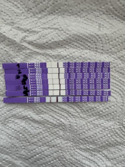 Testování a těhotenský test | Krvacela jsem, ale test sili