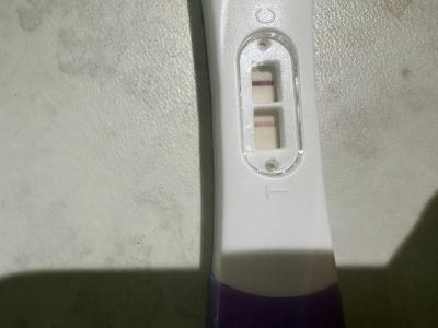 Centra asistované reprodukce | IVF - ET/KET 2026