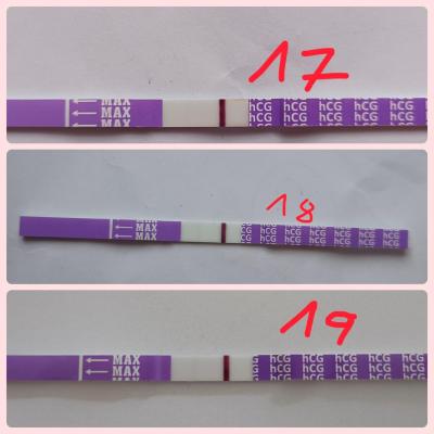 Testování a těhotenský test | Těhotenské testy 13 DPO