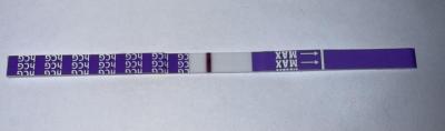 Testování a těhotenský test | Testování 12 DPO