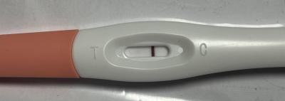 Testování a těhotenský test | Snažilky 2025