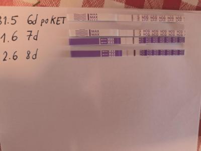 Centra asistované reprodukce | IVF - ET/KET 2026