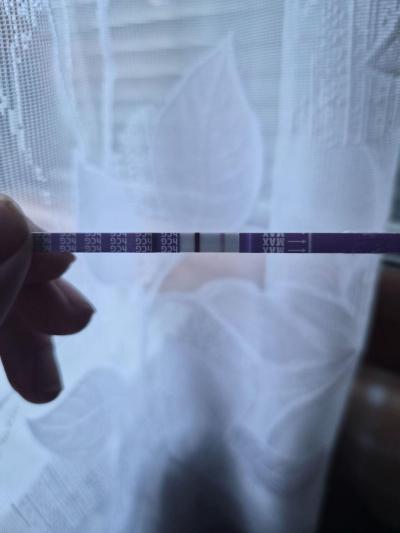 Centra asistované reprodukce | IVF - ET/KET 2026