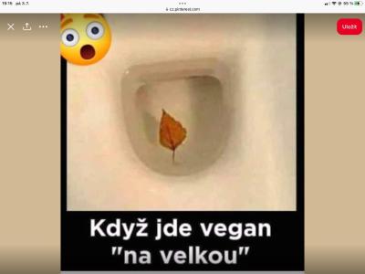 Pro pobavení | Znáte dobrý vtip? Sem s ním!